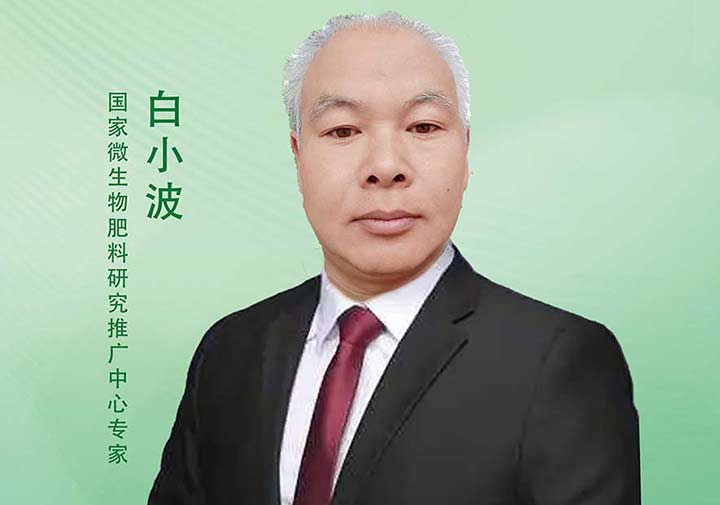 白小波——国家微生物肥料研究推广中心专家