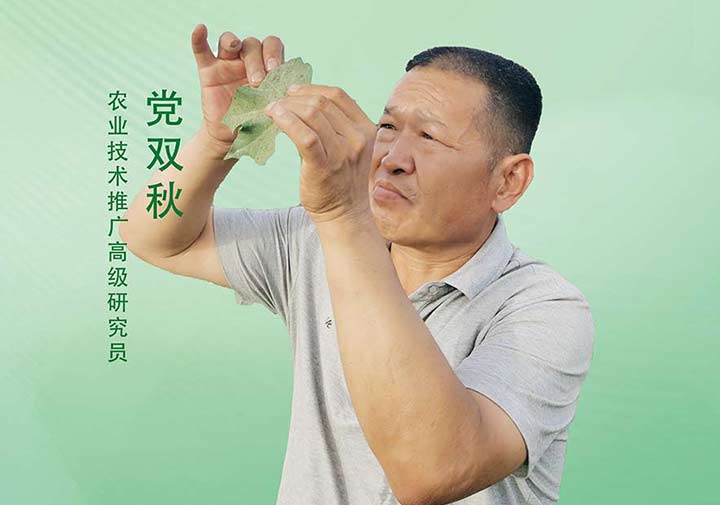 党双秋——农业技术推广高级研究员