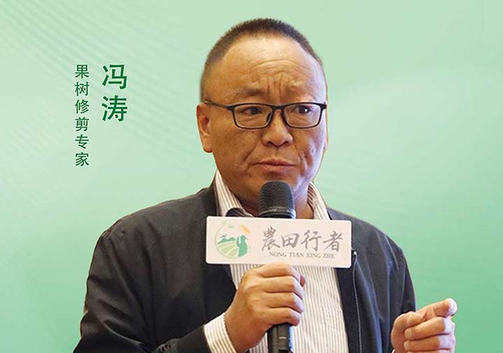 冯涛——果树修剪专家