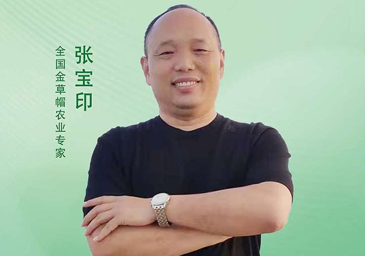 张宝印——全国金草帽农业专家